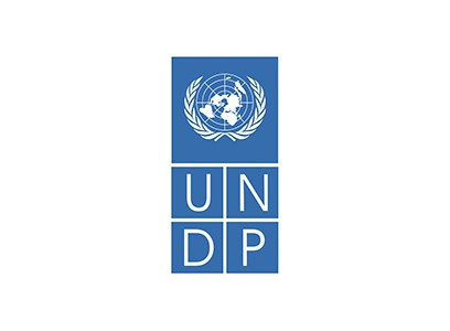 img 38 UNDP 0x300
